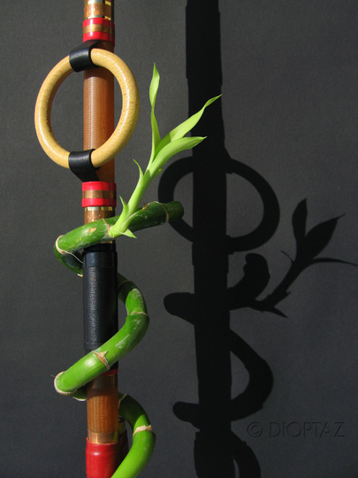 logo-sarbacana-ombre